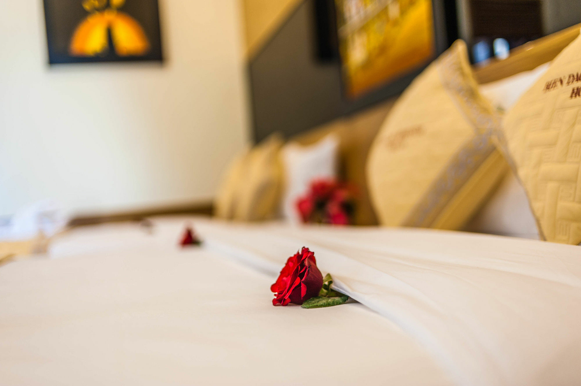Bien Dao Homestay Hoi An Bagian luar foto